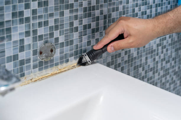 Best Office Mold Removal Services  in Ridgefield, NJ
