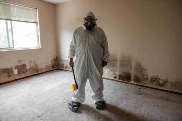 Best Residential Mold Removal  in Ridgefield, NJ